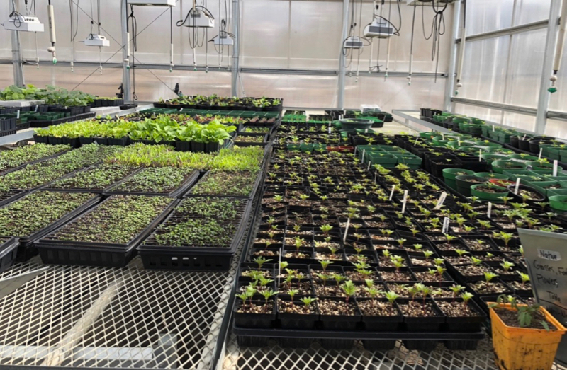 Greenhouse at Salish Kootenai College