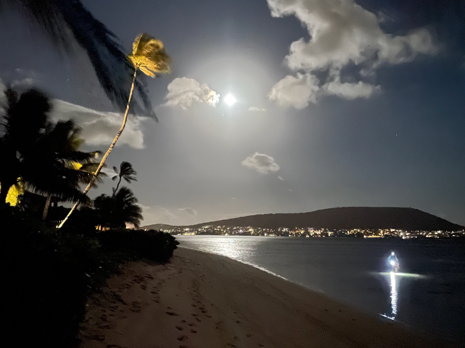 IMG_7295 night scene showing a person torch fishing along the Hawaiian coastline under a full moon and palm tree