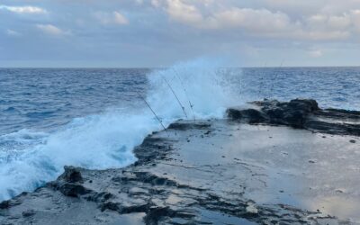 How Much More? A poem on sea level rise in Hawaiʻi