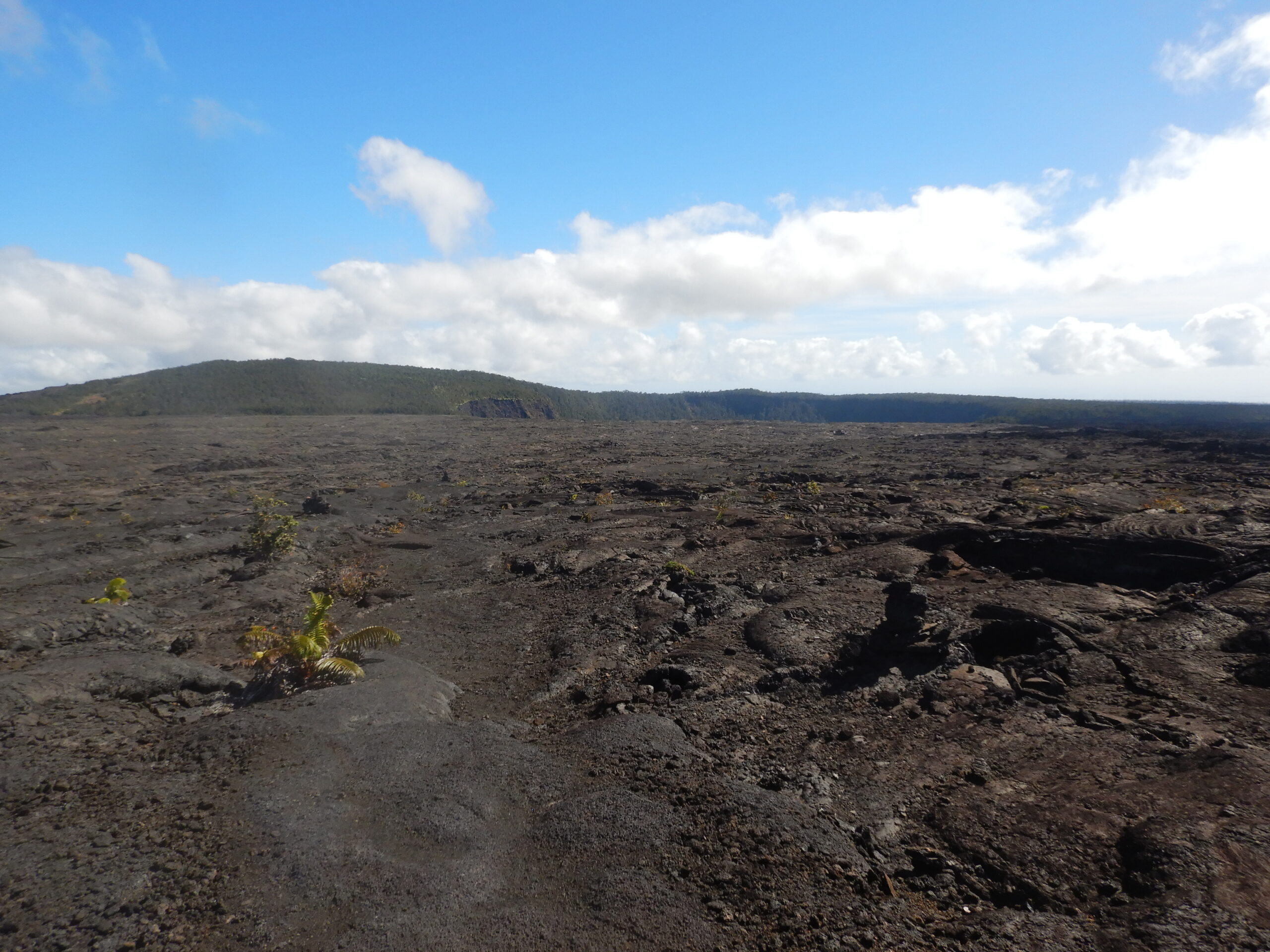 DSCN5814 Lava field