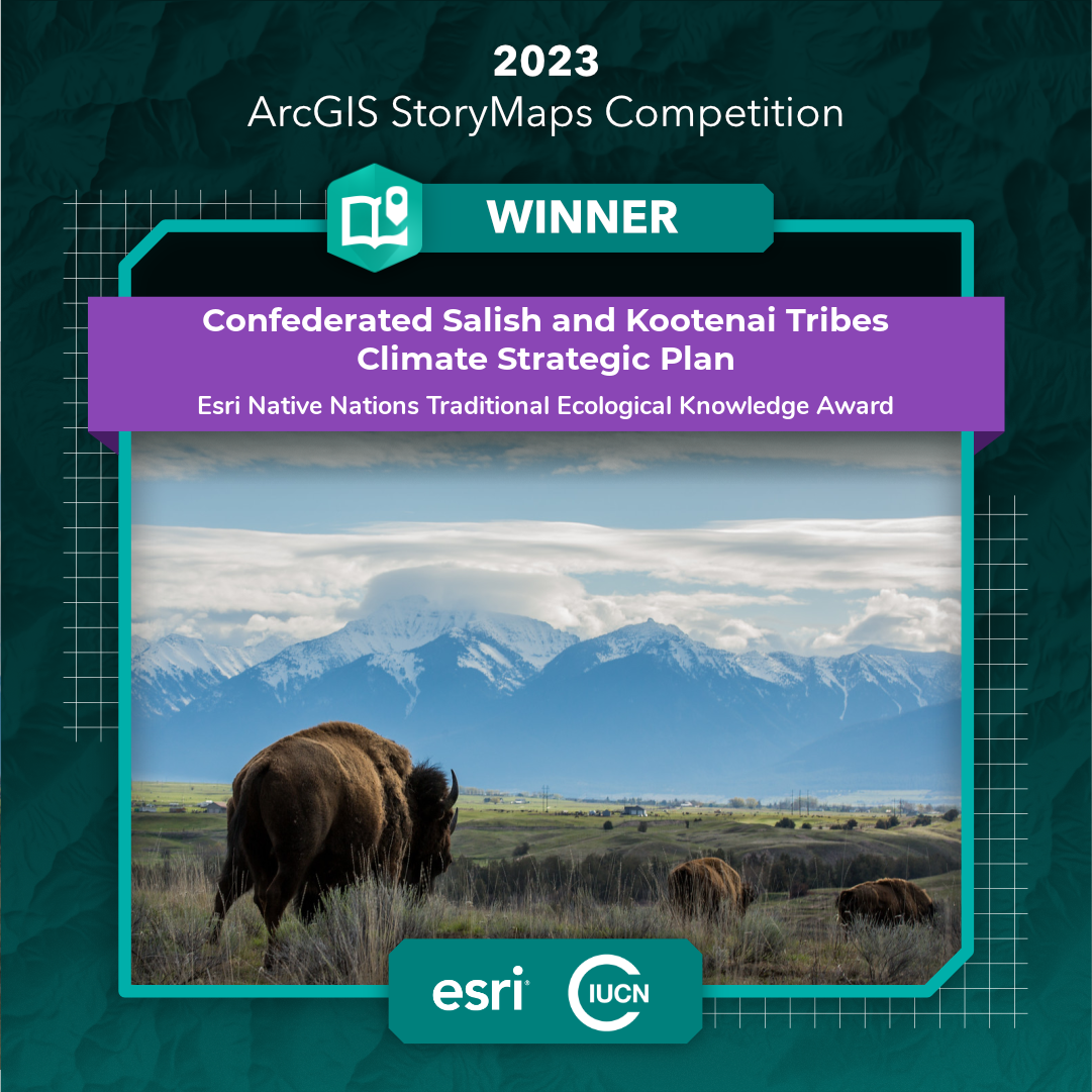 csktstrategicplan winner annoucement with photo of bison