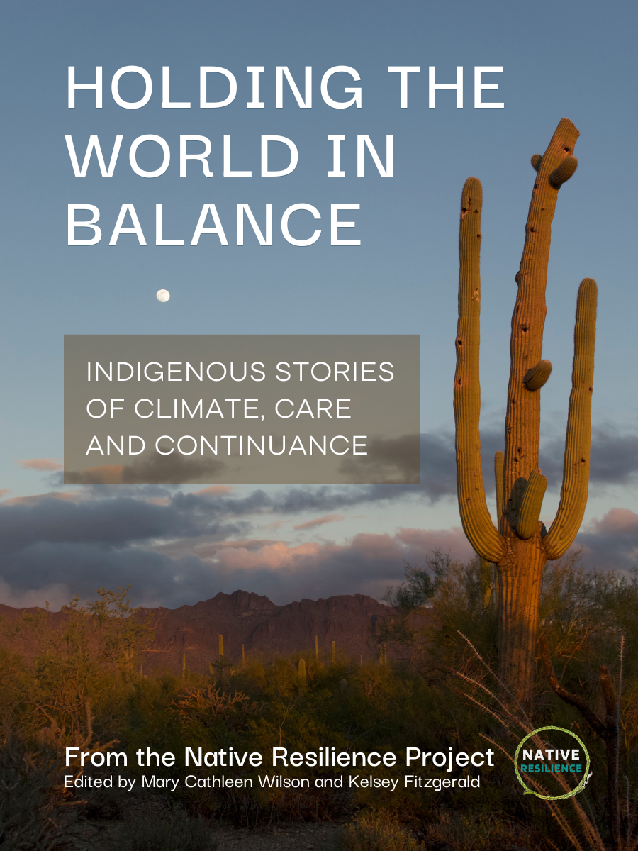 Book cover: Holding the world in balance